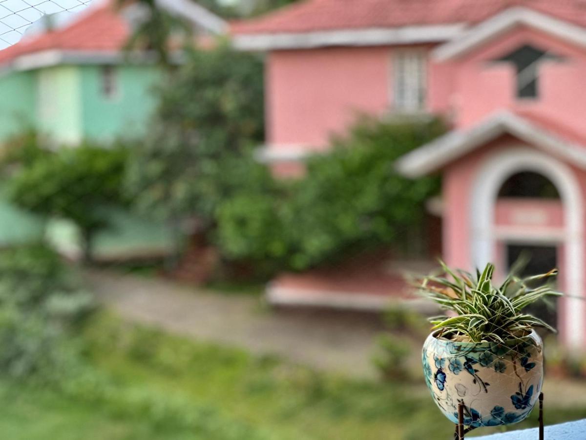 Chalet Saffron Goa 比纳里姆 外观 照片