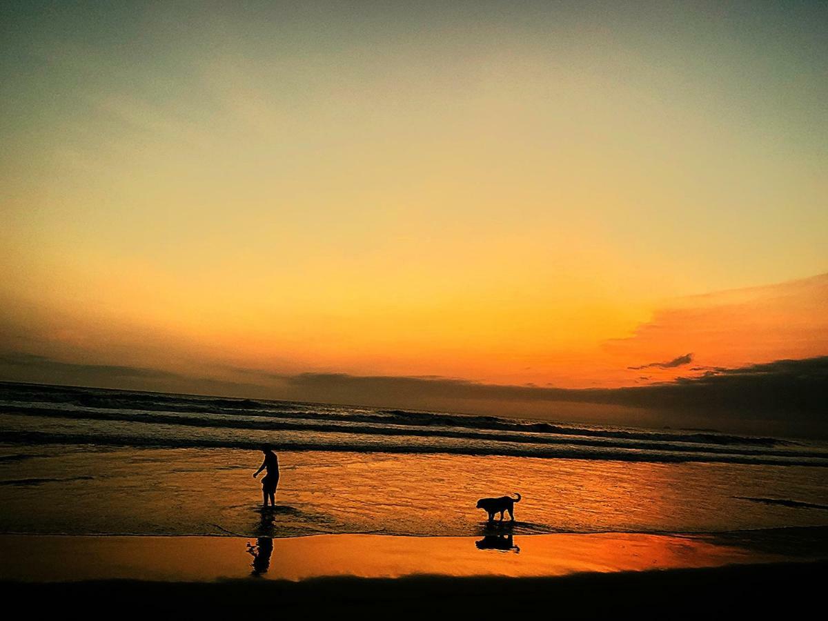 Chalet Saffron Goa 比纳里姆 外观 照片